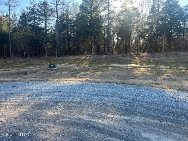 $499,000 | Springwood Trail, Madison, MS 39110