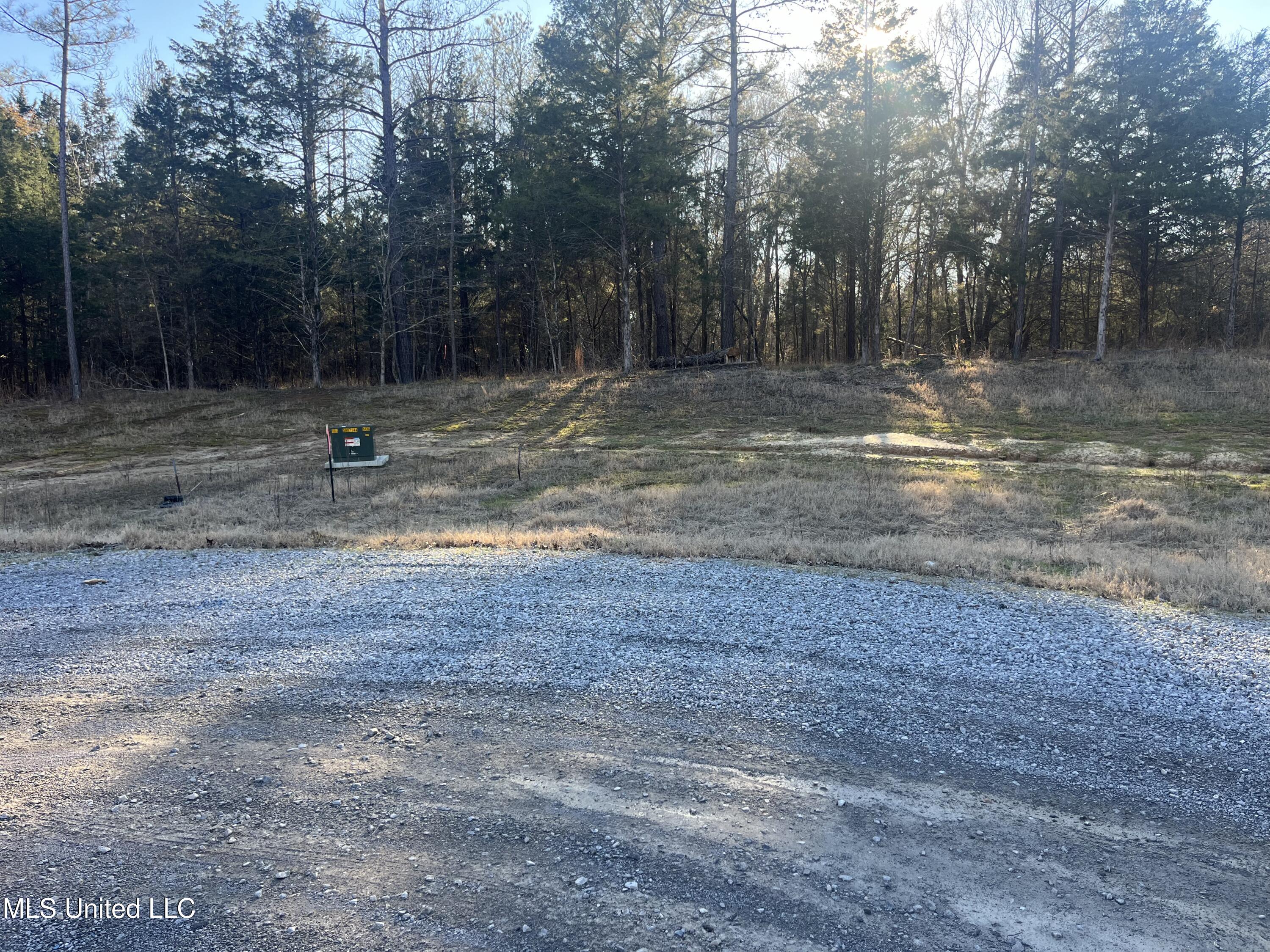 Springwood Trail Madison, MS 39110 - Photo 12 of 59 IMG_0457