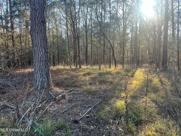 $499,000 | Springwood Trail, Madison, MS 39110