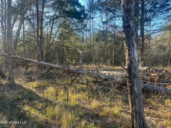 $499,000 | Springwood Trail, Madison, MS 39110