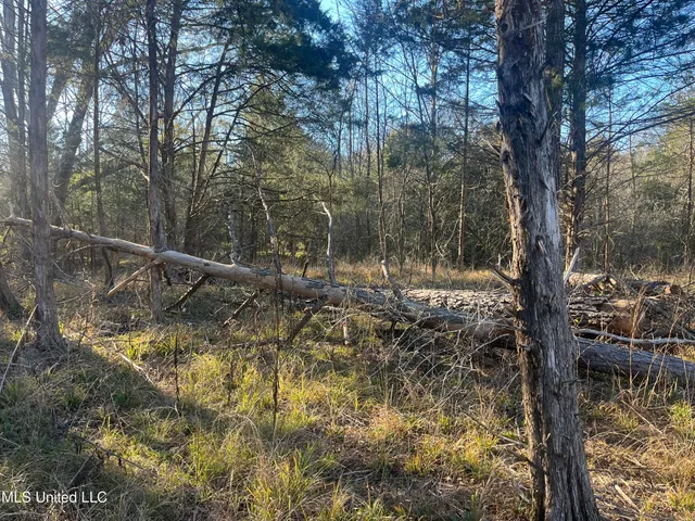 $499,000 | Springwood Trail, Madison, MS 39110