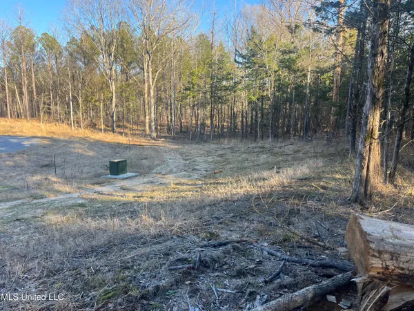 $499,000 | Springwood Trail, Madison, MS 39110