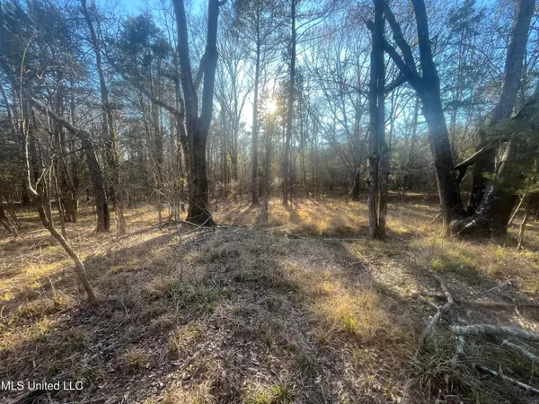 $499,000 | Springwood Trail, Madison, MS 39110