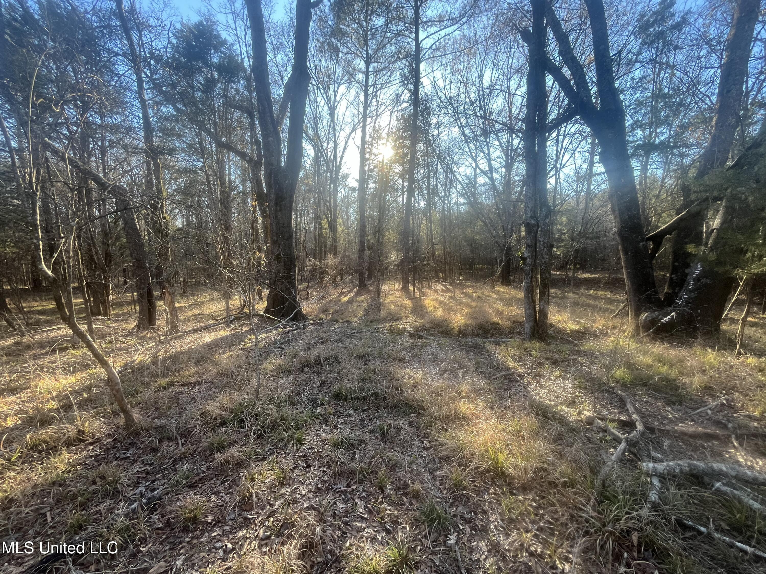 Springwood Trail Madison, MS 39110 - Photo 17 of 59 IMG_0468