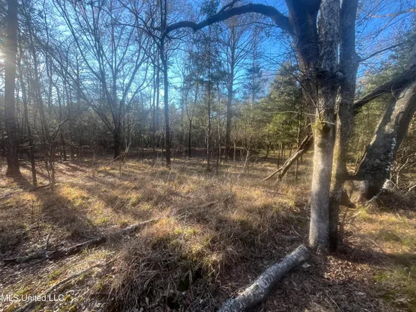 $499,000 | Springwood Trail, Madison, MS 39110
