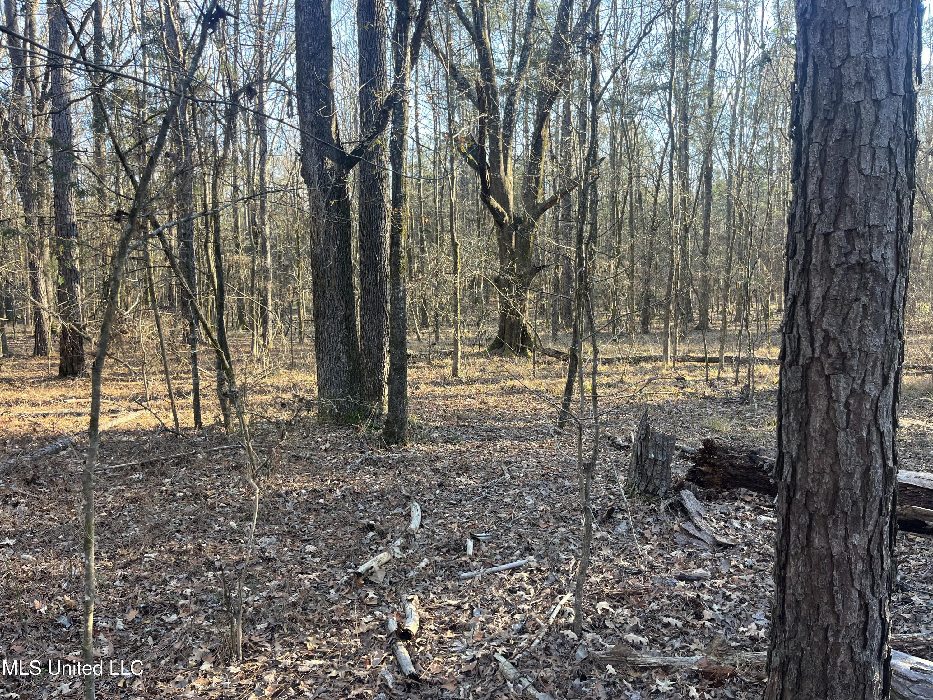 Springwood Trail Madison, MS 39110 - Photo 19 of 59 IMG_0470