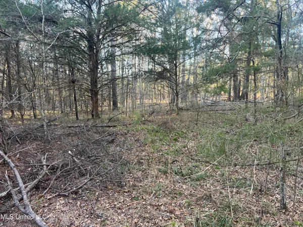 $499,000 | Springwood Trail, Madison, MS 39110