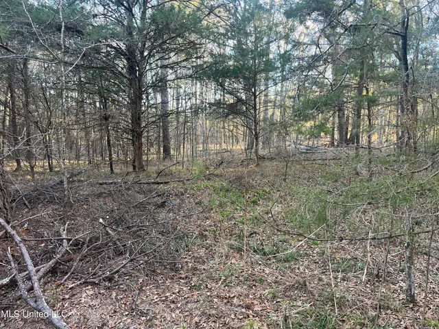 $499,000 | Springwood Trail, Madison, MS 39110