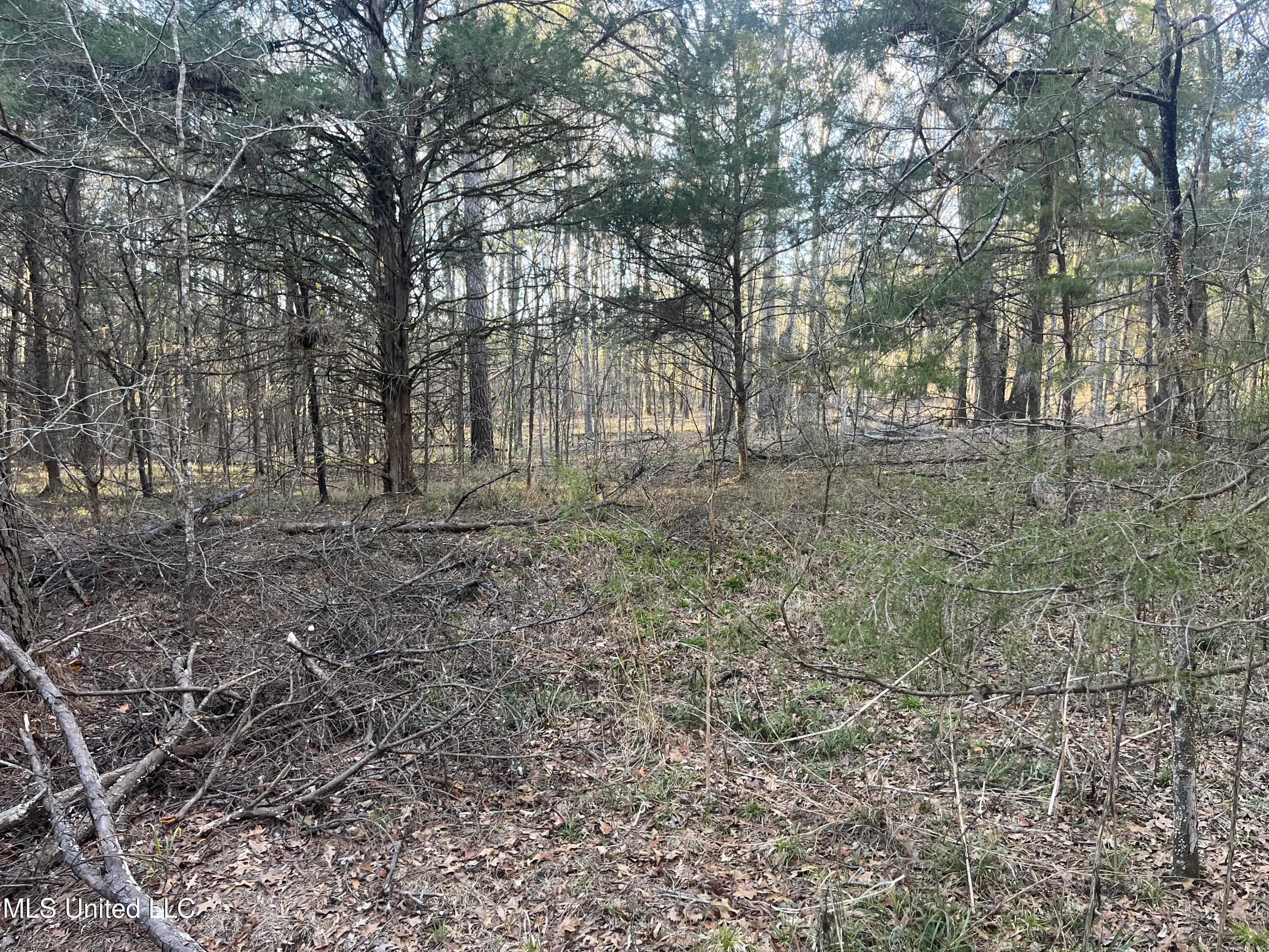 Springwood Trail Madison, MS 39110 - Photo 20 of 59 IMG_0471