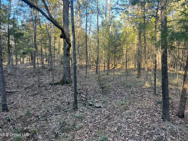 $499,000 | Springwood Trail, Madison, MS 39110