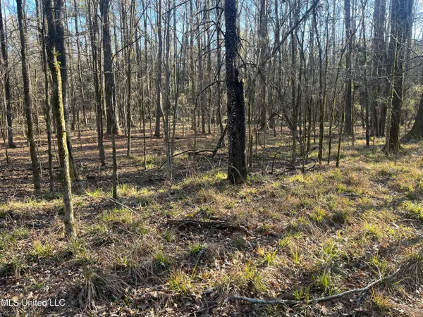 $499,000 | Springwood Trail, Madison, MS 39110