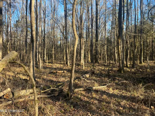 $499,000 | Springwood Trail, Madison, MS 39110