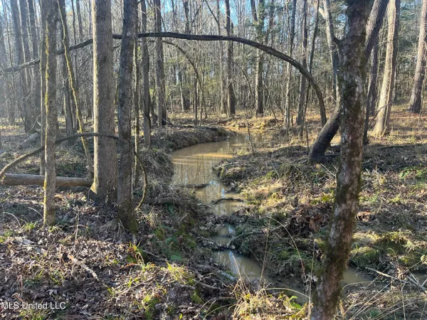 $499,000 | Springwood Trail, Madison, MS 39110