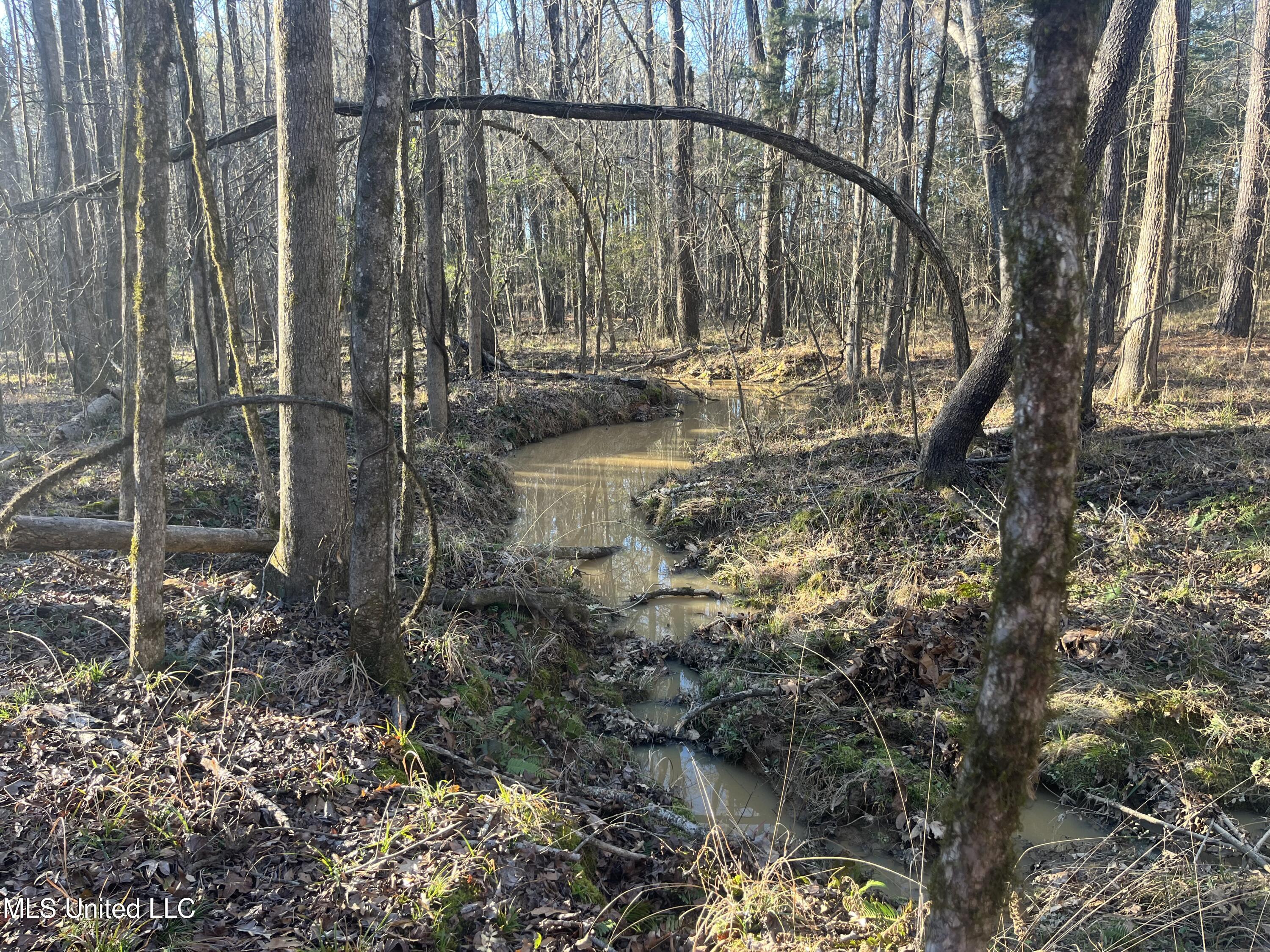 Springwood Trail Madison, MS 39110 - Photo 24 of 59 IMG_0476