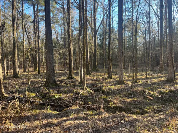 $499,000 | Springwood Trail, Madison, MS 39110