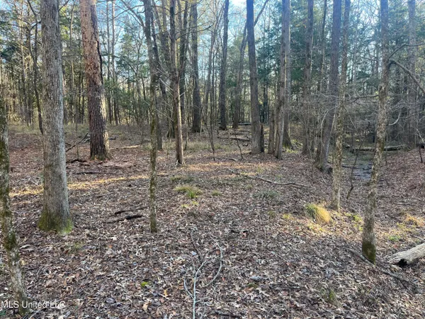 $499,000 | Springwood Trail, Madison, MS 39110