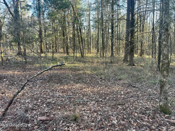 $499,000 | Springwood Trail, Madison, MS 39110