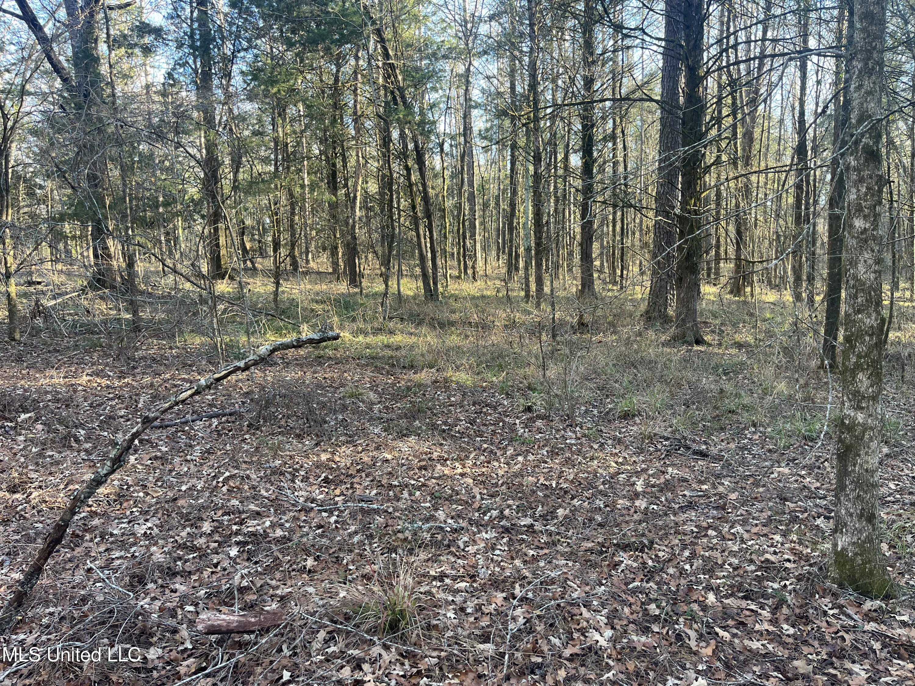 Springwood Trail Madison, MS 39110 - Photo 27 of 59 IMG_0479