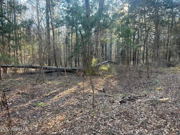 $499,000 | Springwood Trail, Madison, MS 39110