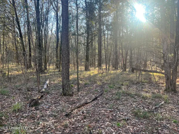 $499,000 | Springwood Trail, Madison, MS 39110