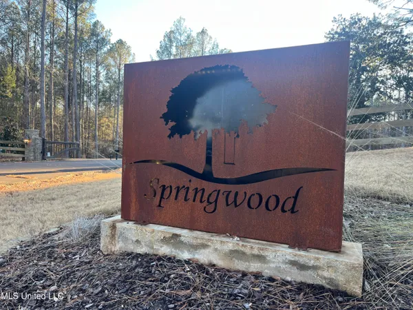 $499,000 | Springwood Trail, Madison, MS 39110