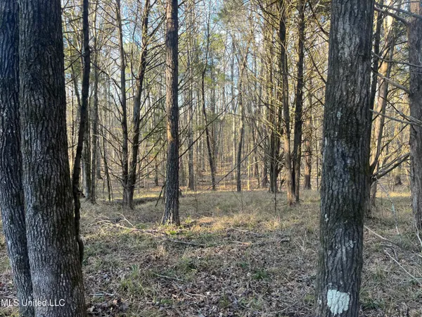 $499,000 | Springwood Trail, Madison, MS 39110