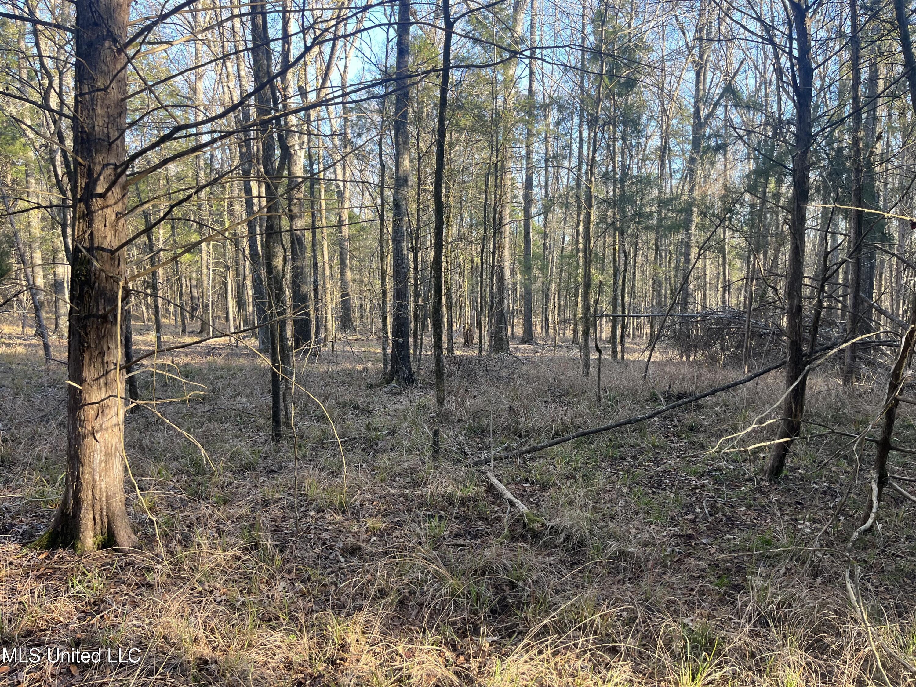 Springwood Trail Madison, MS 39110 - Photo 32 of 59 IMG_0483