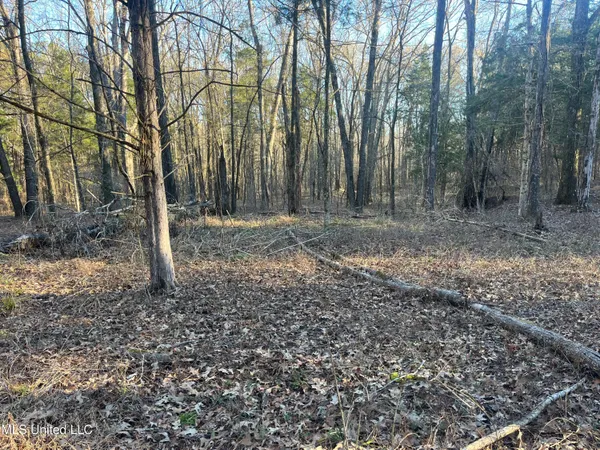 $499,000 | Springwood Trail, Madison, MS 39110