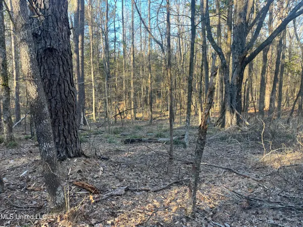 $499,000 | Springwood Trail, Madison, MS 39110