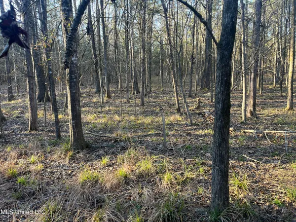 $499,000 | Springwood Trail, Madison, MS 39110