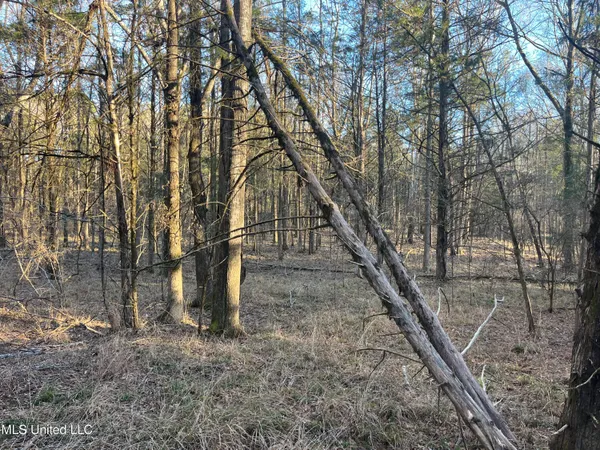 $499,000 | Springwood Trail, Madison, MS 39110