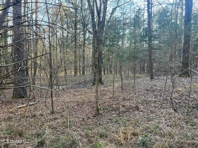 $499,000 | Springwood Trail, Madison, MS 39110