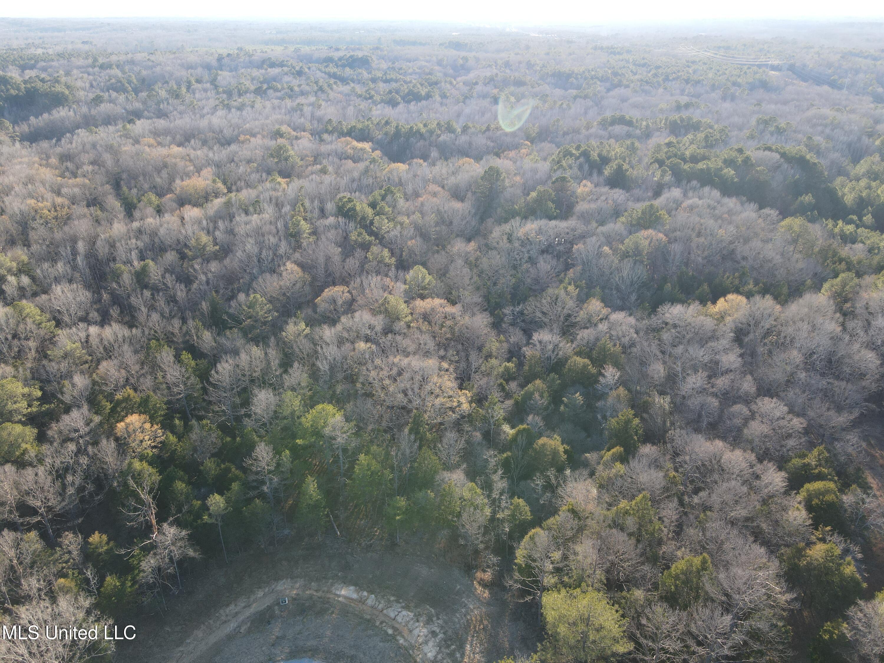 Springwood Trail Madison, MS 39110 - Photo 39 of 59 DJI_0941