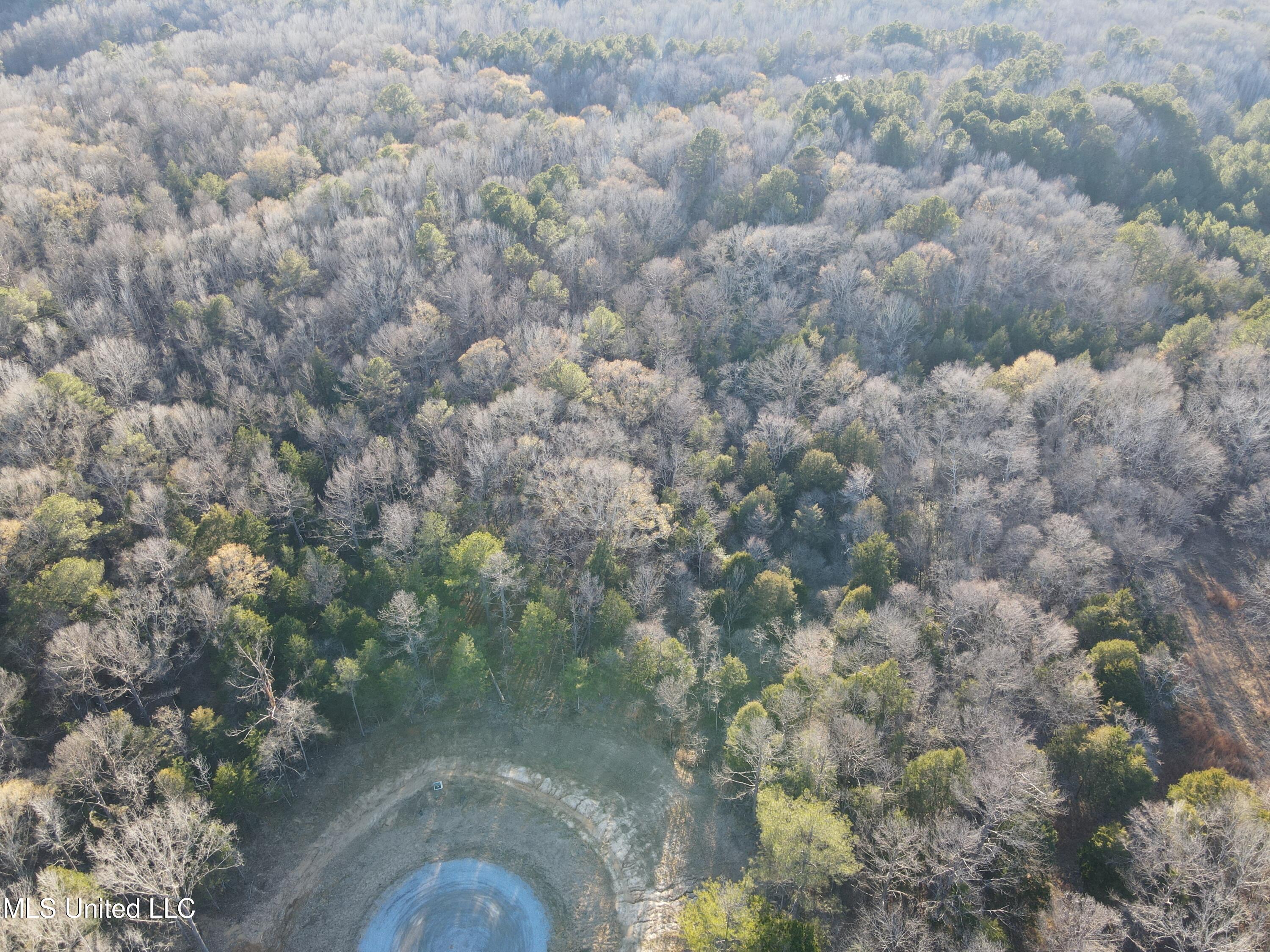Springwood Trail Madison, MS 39110 - Photo 40 of 59 DJI_0942