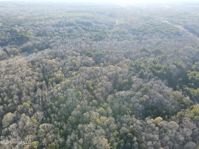 $499,000 | Springwood Trail, Madison, MS 39110