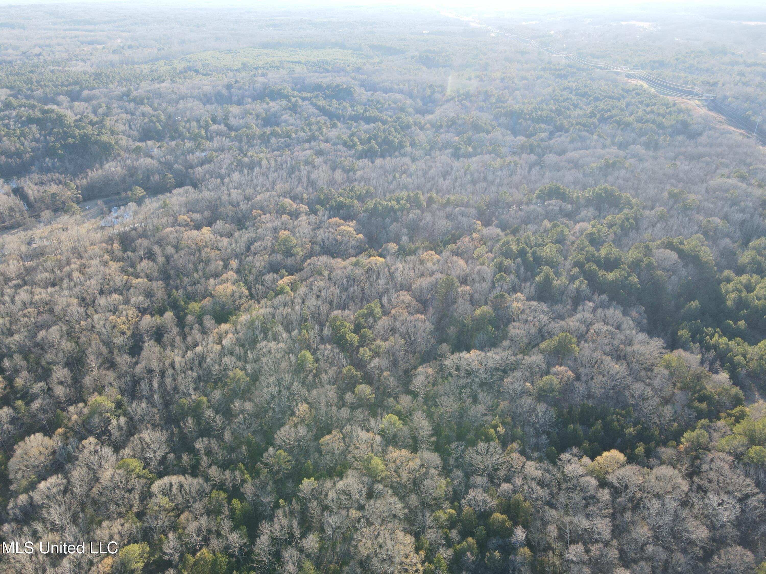 Springwood Trail Madison, MS 39110 - Photo 44 of 59 DJI_0946