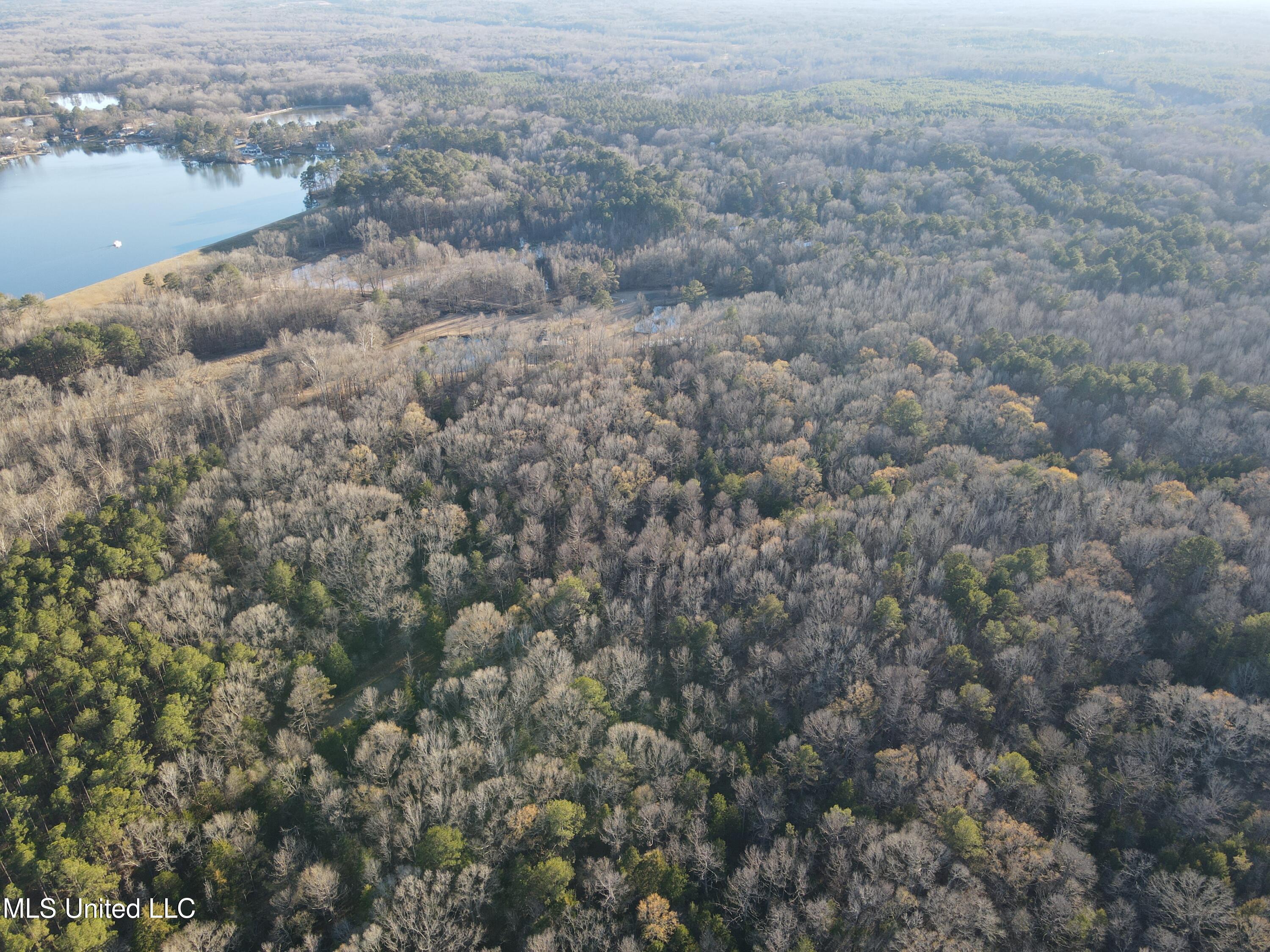 Springwood Trail Madison, MS 39110 - Photo 45 of 59 DJI_0947