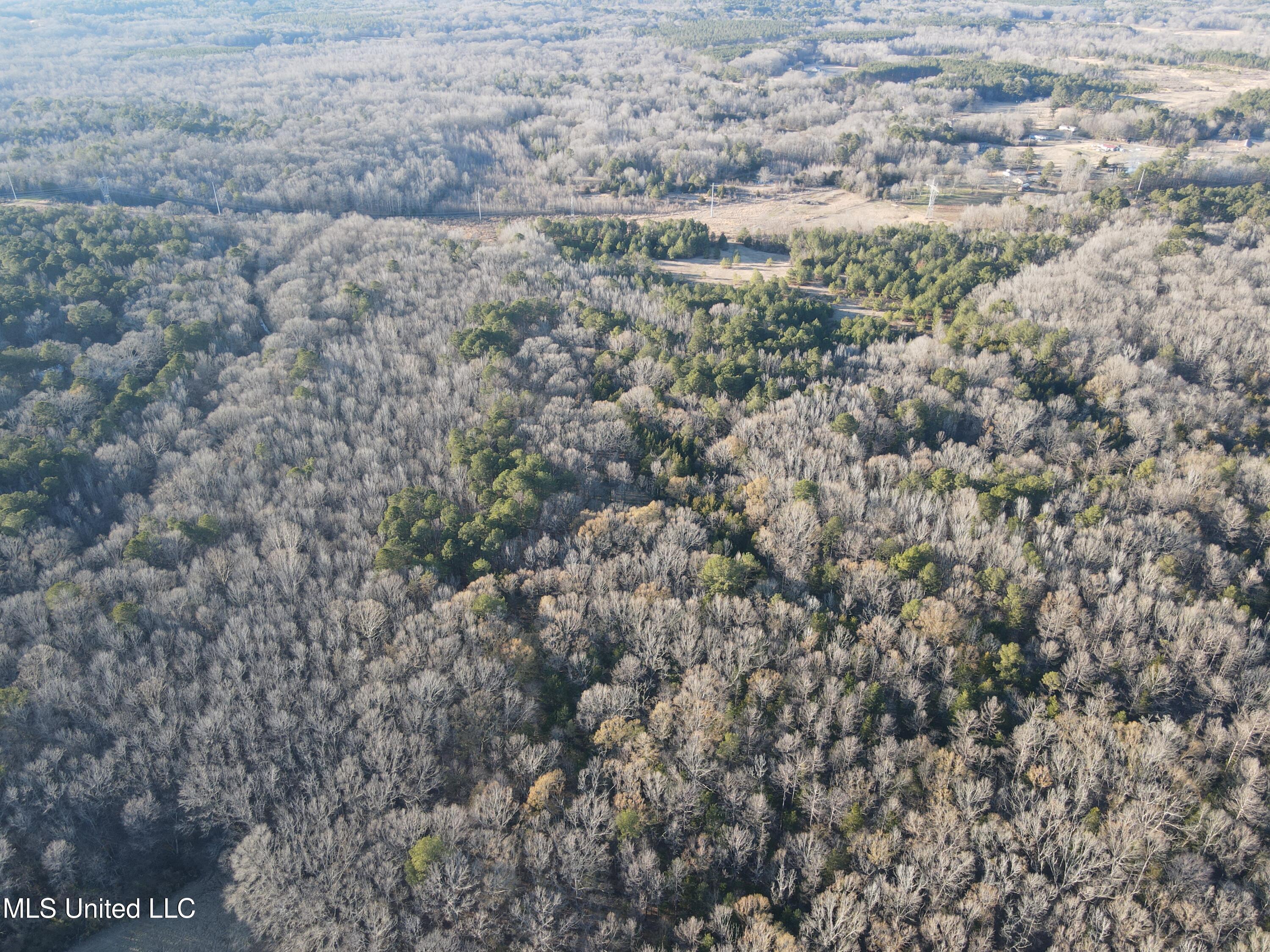 Springwood Trail Madison, MS 39110 - Photo 53 of 59 DJI_0952
