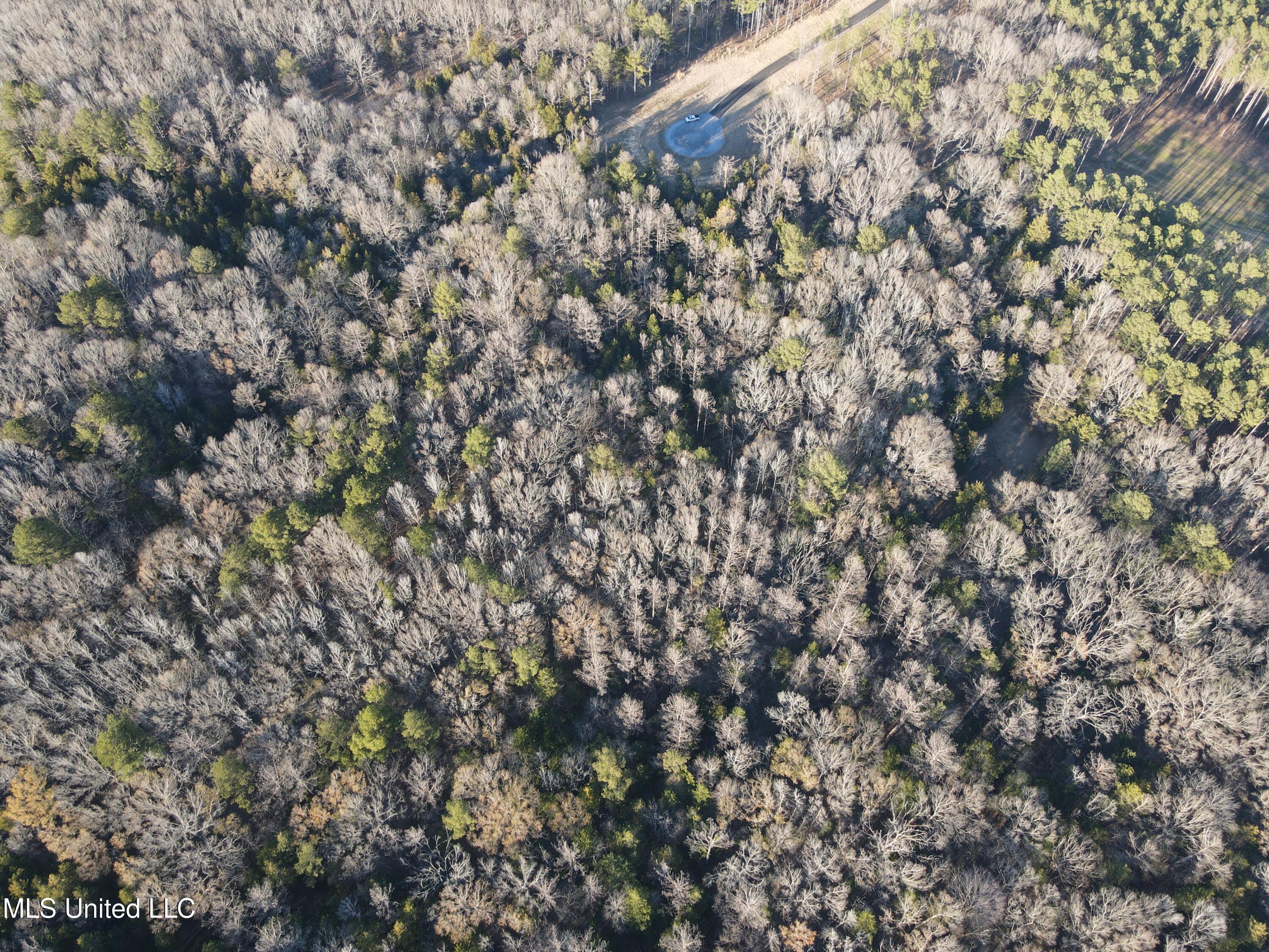 Springwood Trail Madison, MS 39110 - Photo 55 of 59 DJI_0954