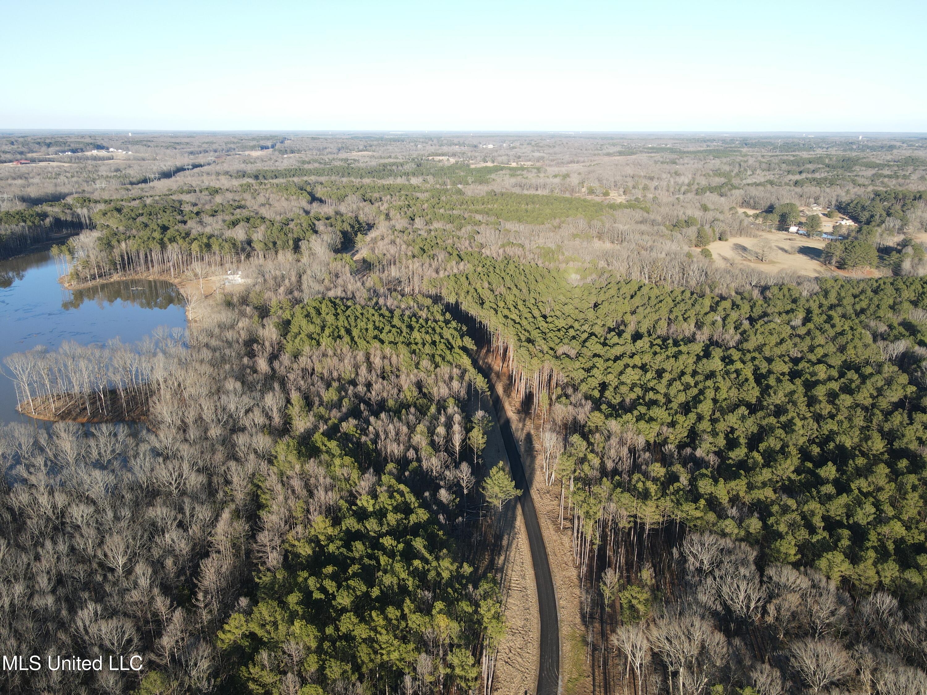 Springwood Trail Madison, MS 39110 - Photo 57 of 59 DJI_0956