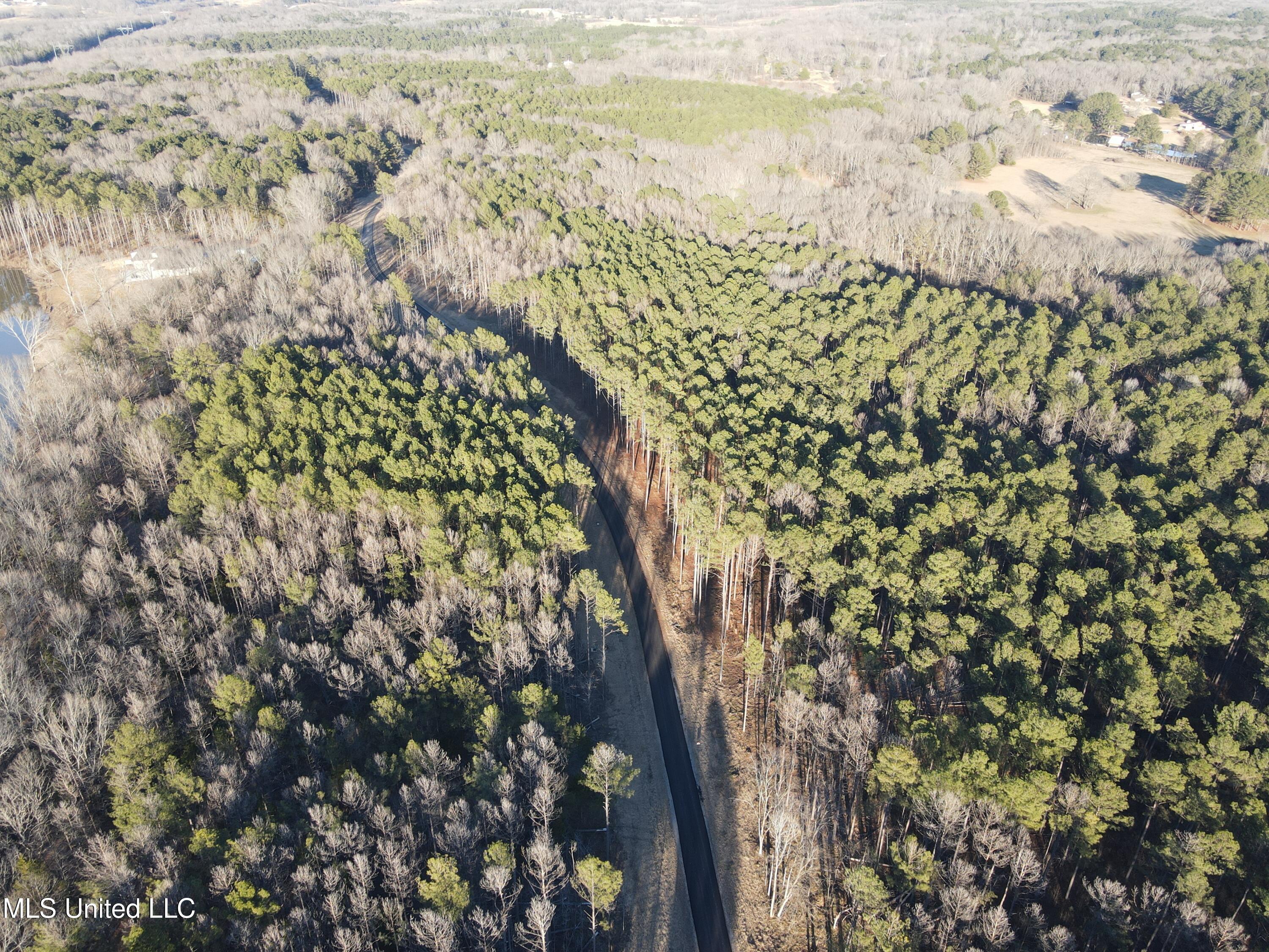 Springwood Trail Madison, MS 39110 - Photo 58 of 59 DJI_0957