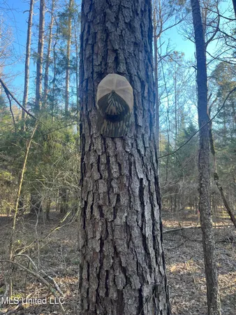 $499,000 | Springwood Trail, Madison, MS 39110