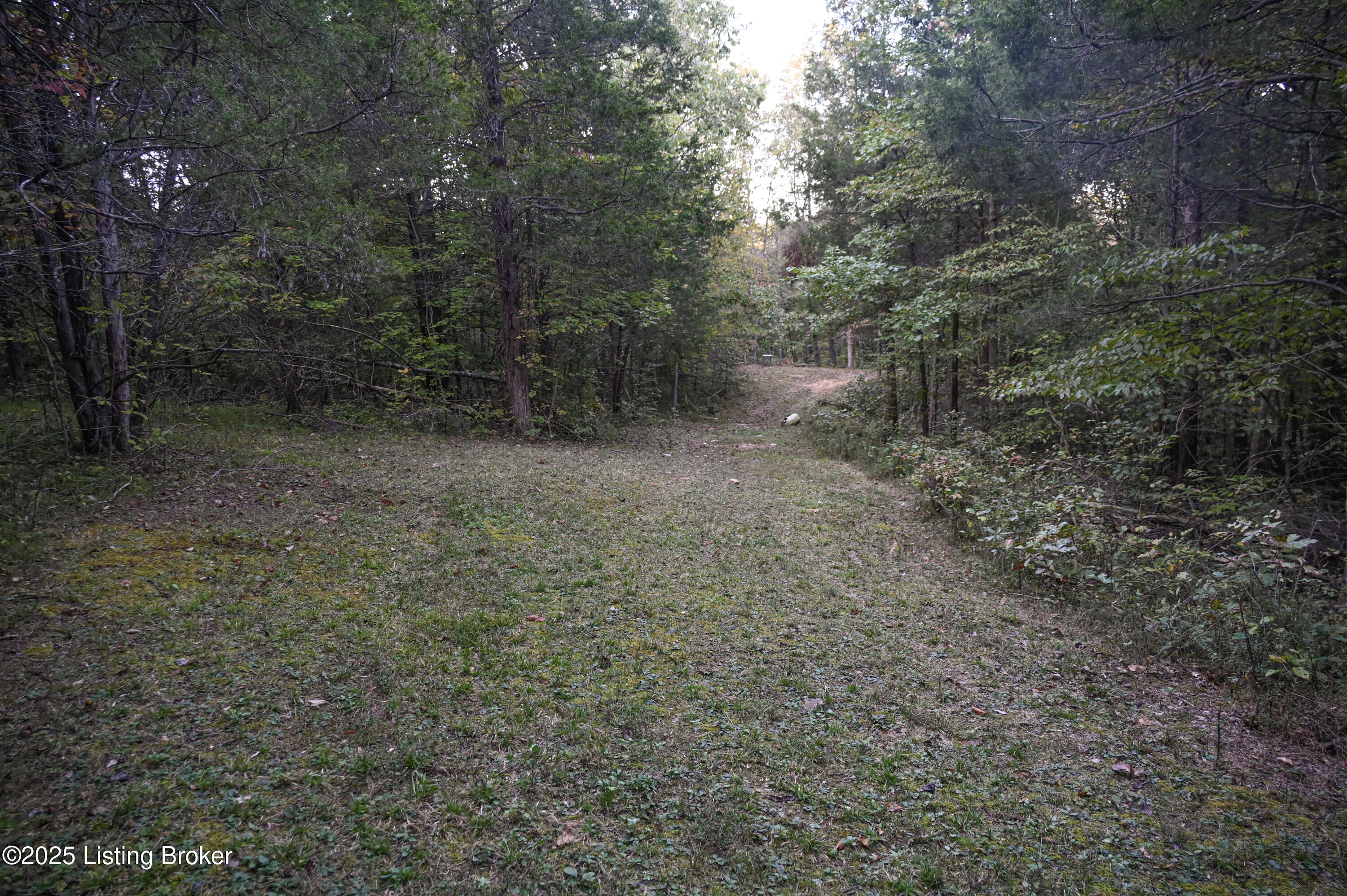 981 Limp Road Big Clifty, KY 42712 - Photo 16 of 44 16-DSC_0861