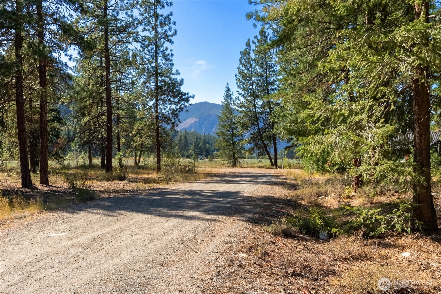 15 Deer Run Loop Road Winthrop, WA 98862 - Photo 13 of 25