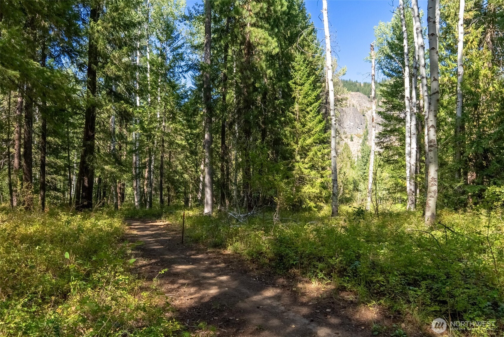 15 Deer Run Loop Road Winthrop, WA 98862 - Photo 14 of 25