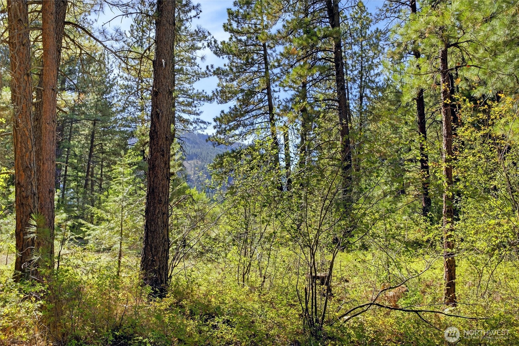 15 Deer Run Loop Road Winthrop, WA 98862 - Photo 19 of 25