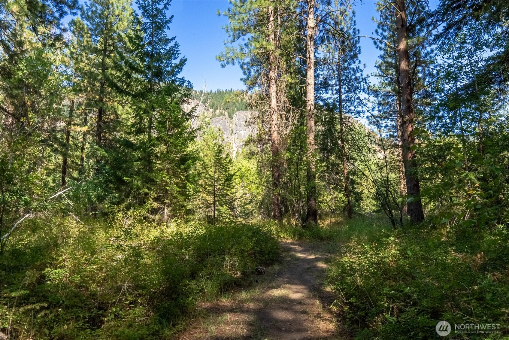 15 Deer Run Loop Road Winthrop, WA 98862 - Photo 20 of 25