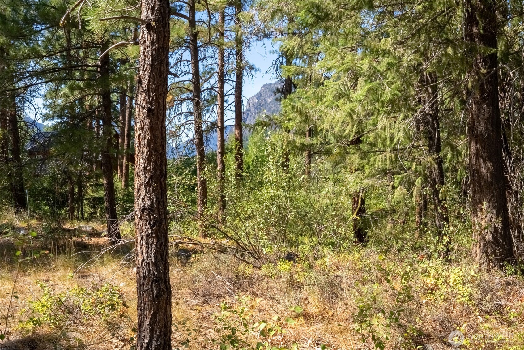 15 Deer Run Loop Road Winthrop, WA 98862 - Photo 23 of 25