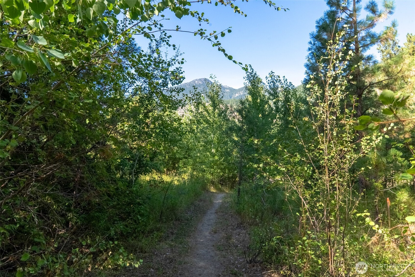 15 Deer Run Loop Road Winthrop, WA 98862 - Photo 25 of 25