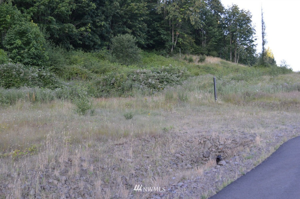 165 Windy River Road Kalama, WA 98625 - Photo 1 of 2 Gallery Image 1